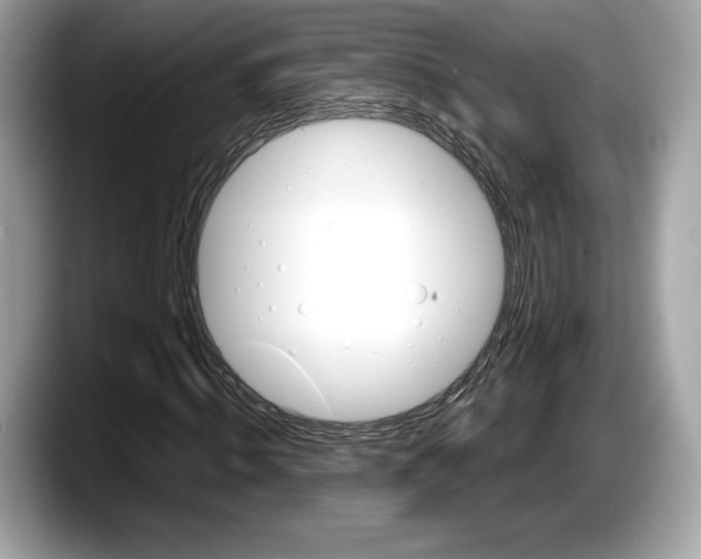 X0000087640820200705311325