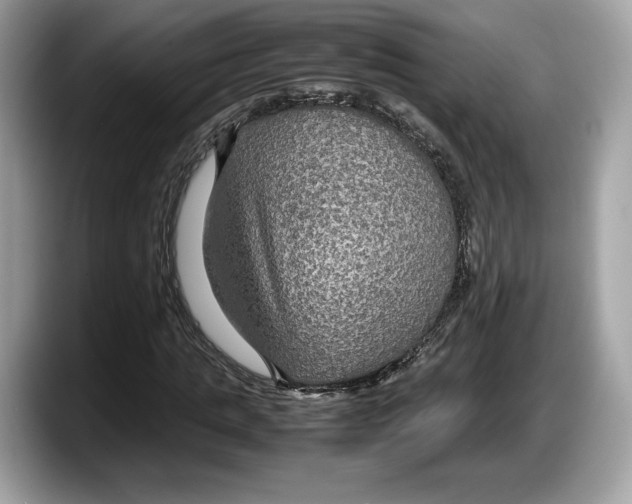 X0000087640821200705311325