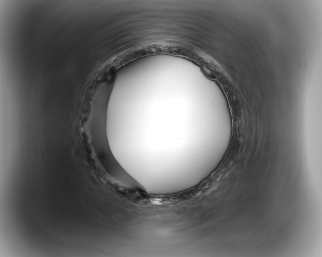 X0000087640822200705311325