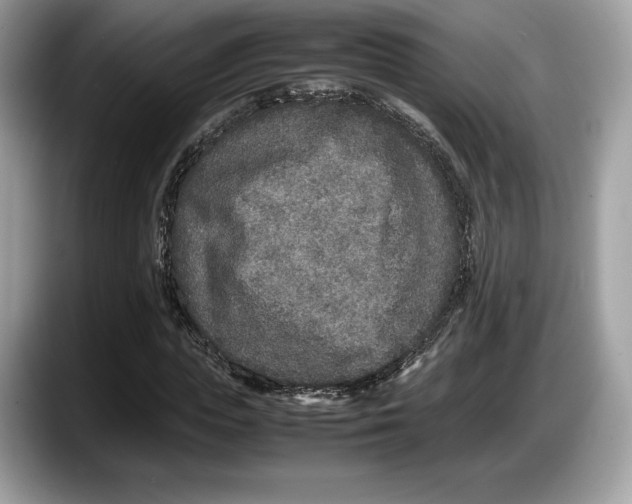 X0000087640823200705311325