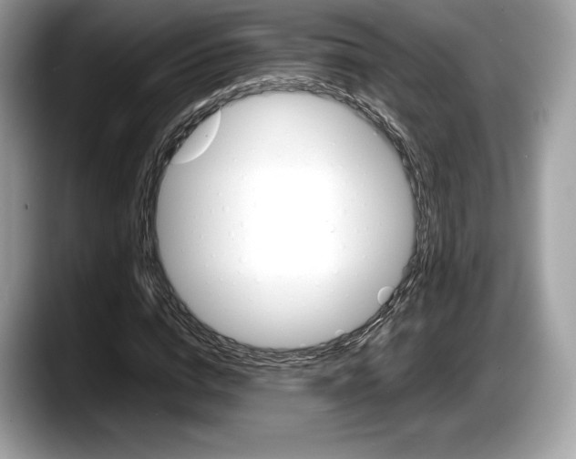 X0000087640824200705311325