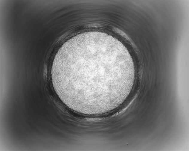 X0000087640825200705311325