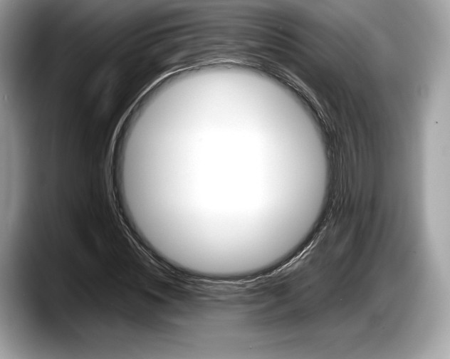 X0000087640828200705311325