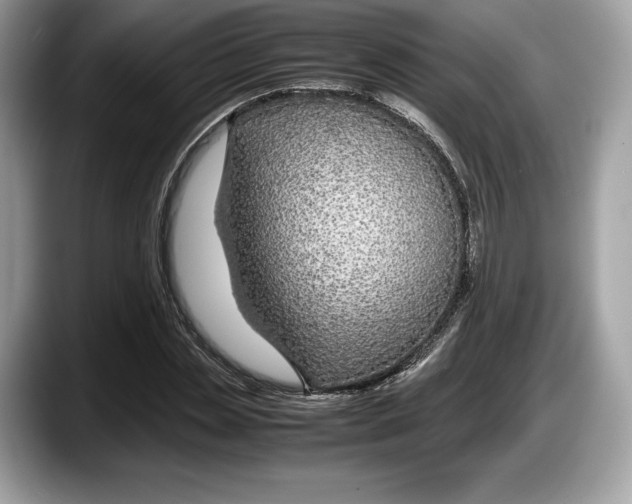 X0000087640829200705311325