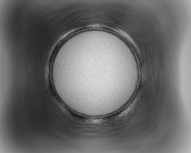 X0000087640831200705311325