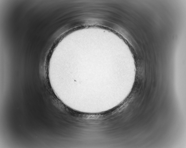 X0000087640832200705311325