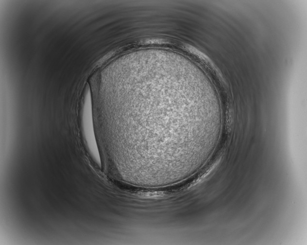 X0000087640833200705311325