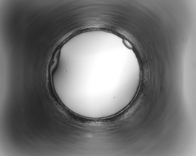 X0000087640834200705311325