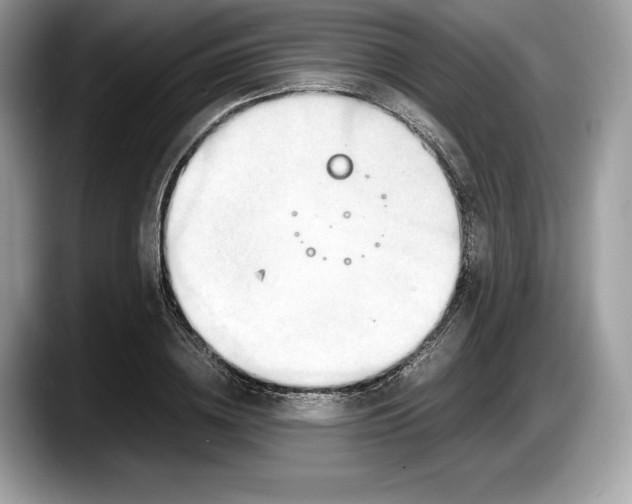 X0000087640836200705311325