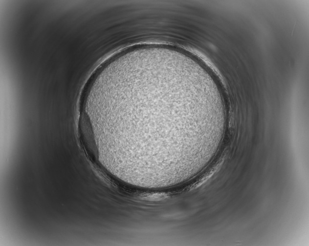 X0000087640837200705311325