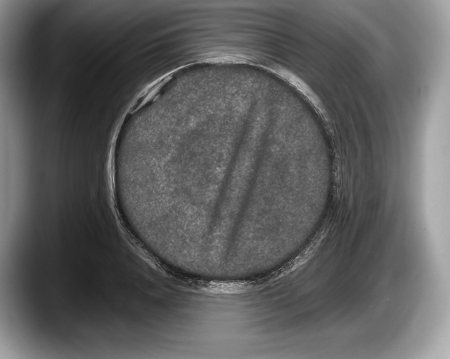 X0000087640840200705311325