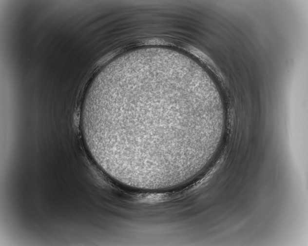 X0000087640841200705311325