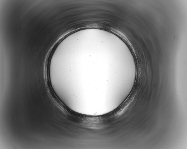 X0000087640843200705311325