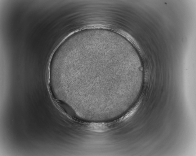 X0000087640844200705311325