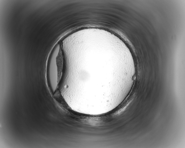 X0000087640845200705311325