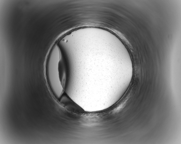 X0000087640846200705311325