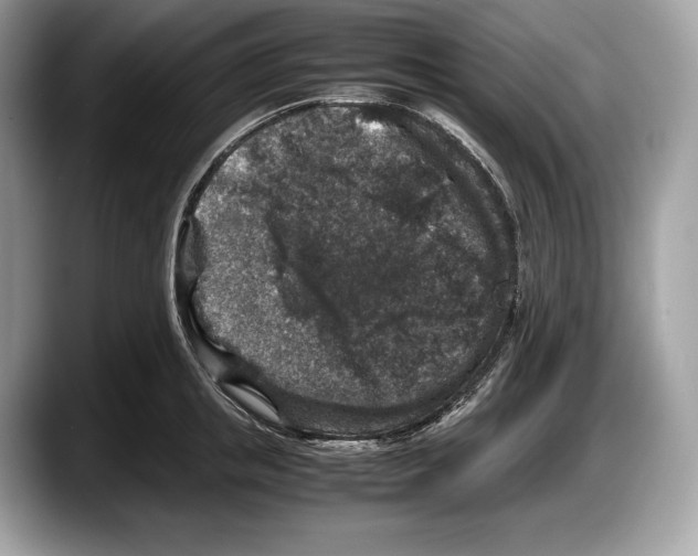 X0000087640853200705311325