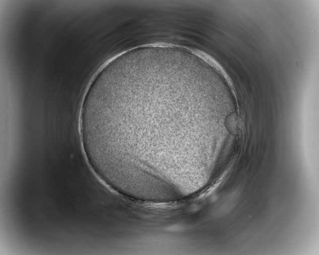 X0000087640855200705311325