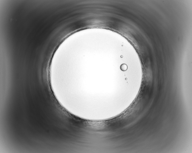 X0000087640856200705311325