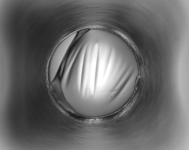 X0000087640858200705311325