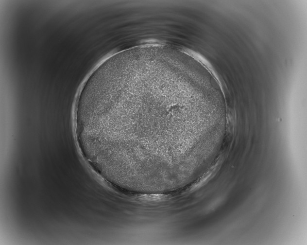 X0000087640859200705311325