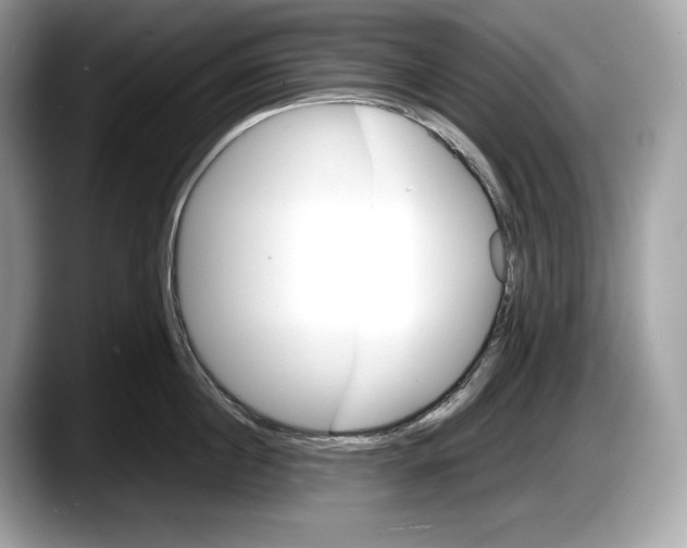 X0000087640860200705311325