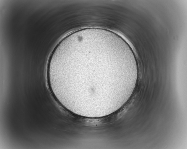 X0000087640861200705311325