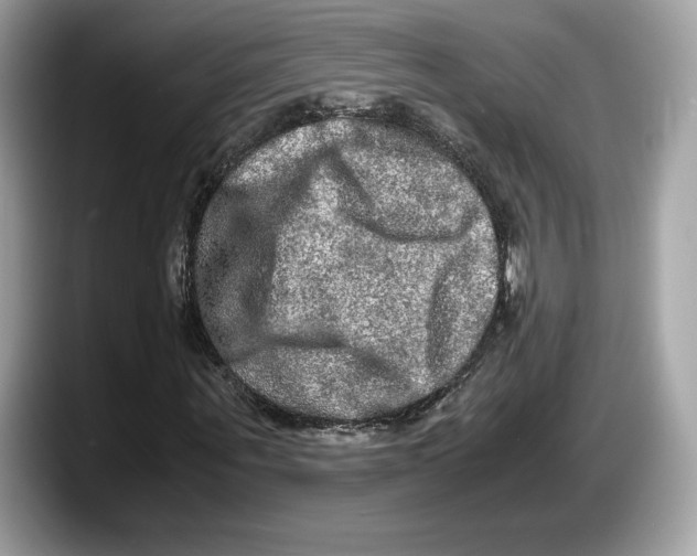 X0000087640867200705311325