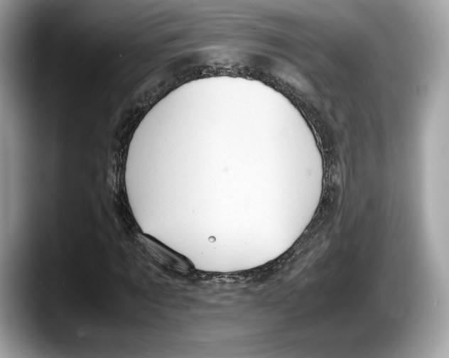 X0000087640869200705311325