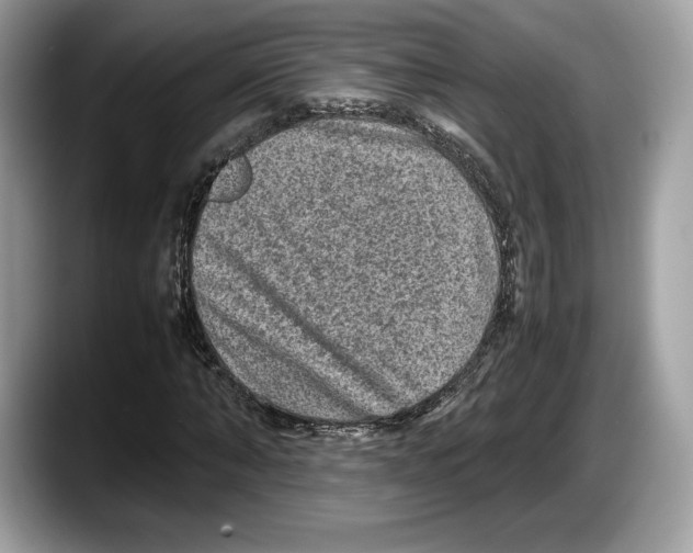 X0000087640870200705311325