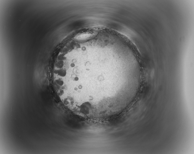 X0000087640871200705311325