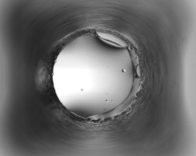 X0000087640872200705311325