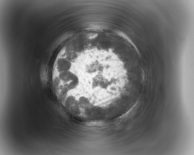 X0000087640874200705311325