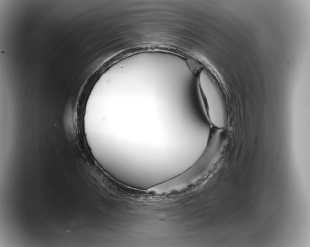 X0000087640876200705311325