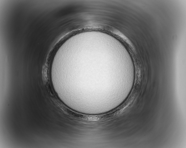 X0000087640878200705311325