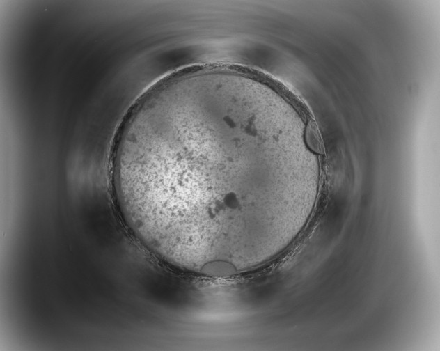 X0000087640879200705311325