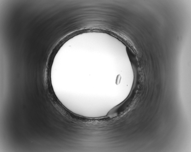 X0000087640880200705311325