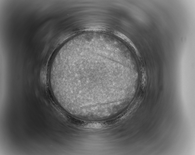 X0000087640882200705311325