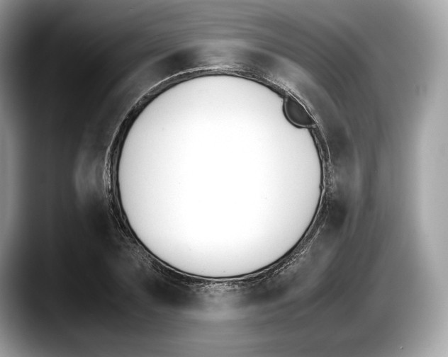 X0000087640883200705311325