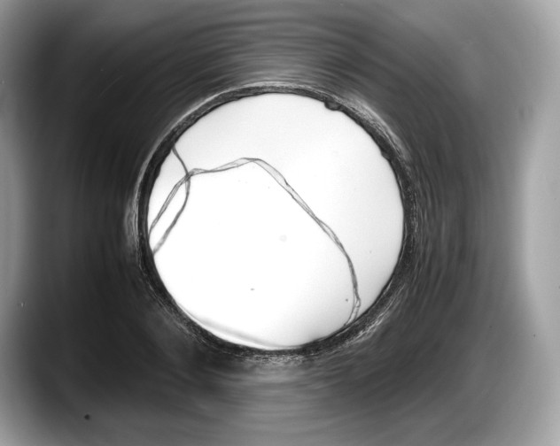 X0000087640884200705311325