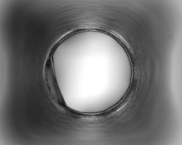 X0000087640885200705311325