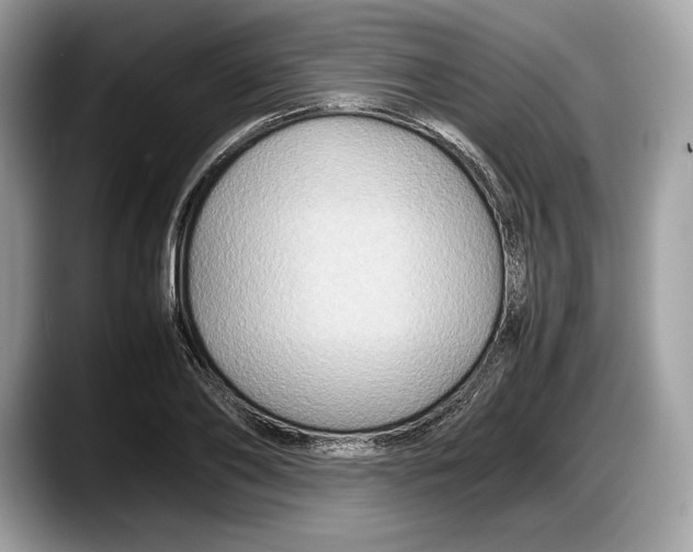 X0000087640886200705311325