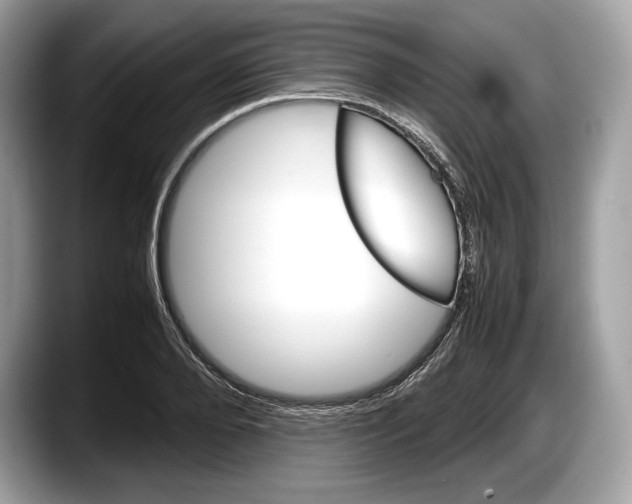 X0000087640888200705311324