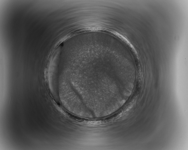 X0000087640889200705311324