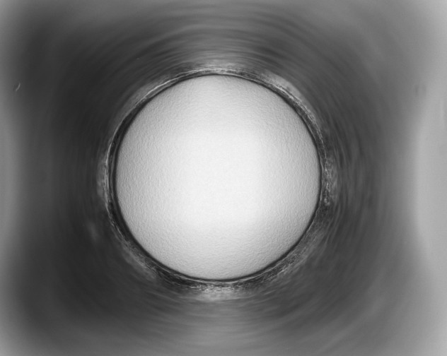 X0000087640890200705311324