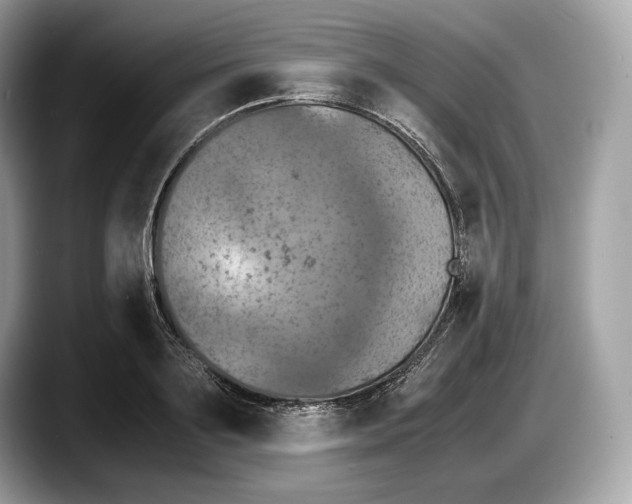 X0000087640891200705311324