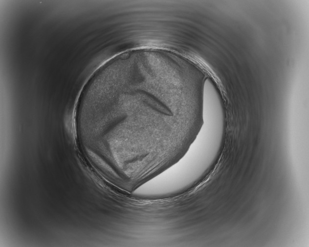 X0000087640892200705311324