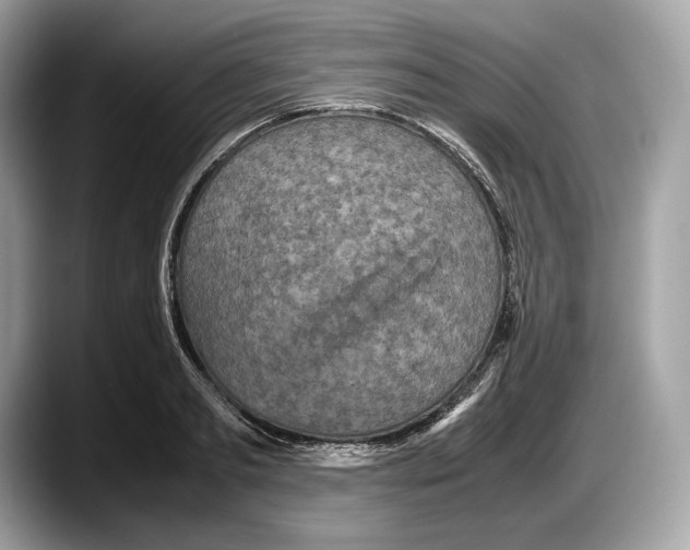 X0000087640893200705311324