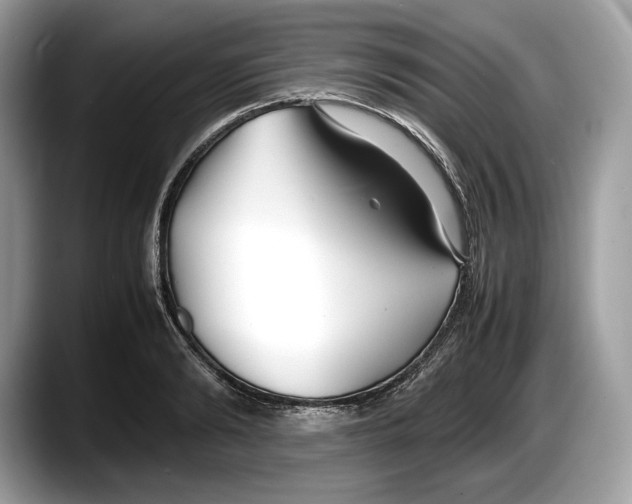 X0000087640894200705311324