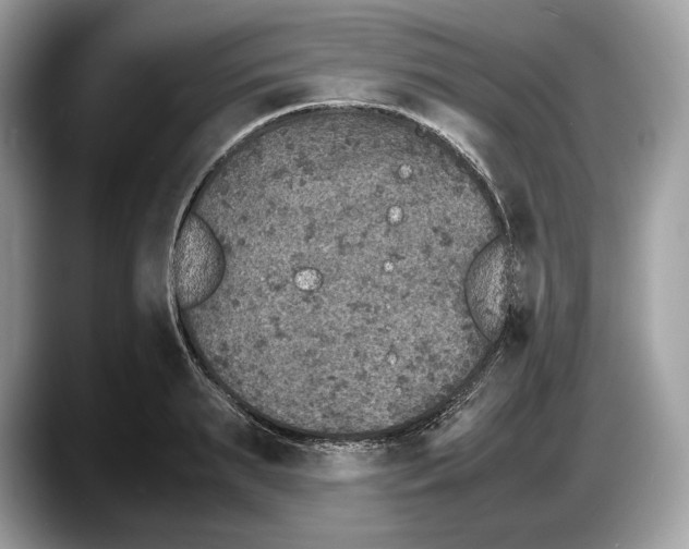 X0000087640895200705311324